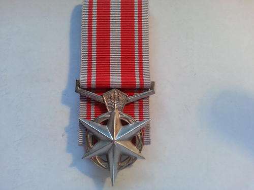 SAP Combatting Terrorism medal - full-size