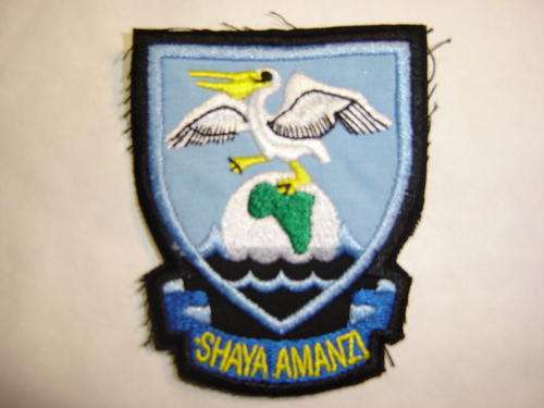 35 Squadron patch