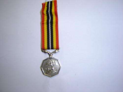 Southern Africa medal - miniature