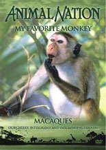 Animal Nation: My Favorite Monkey - DVD - new
