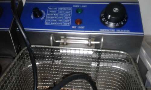 Double Electric Fryer