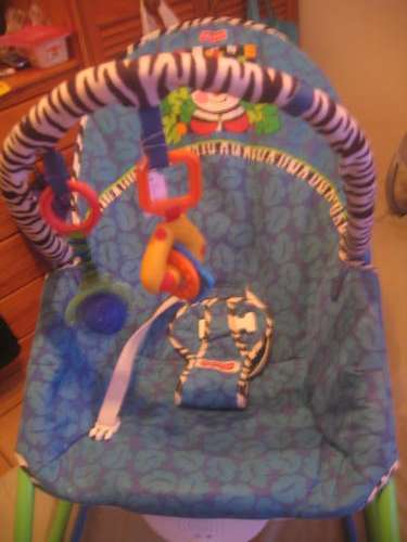 Fisher Price bouncer vibrating