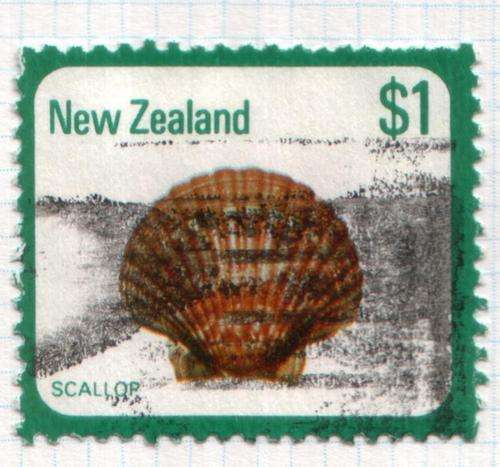 New Zealand $1  Scallop Shell
