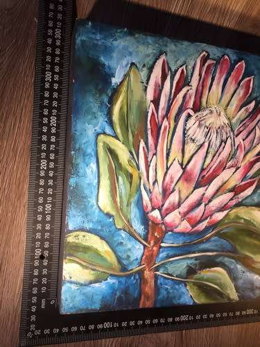 Protea - Oil on Board by Deirdre Botha 30x30cm