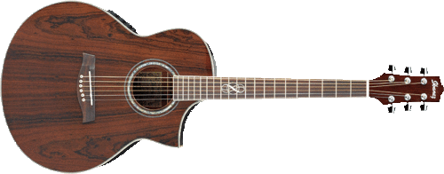 Fascinating Find! WALNUT: Ibanez Acoustic Electric Guitar - Brand New!