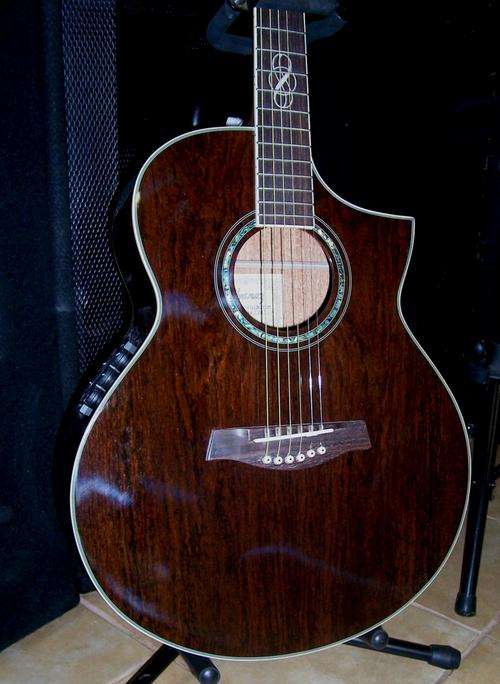 Fascinating Find! WALNUT: Ibanez Acoustic Electric Guitar - Brand New!