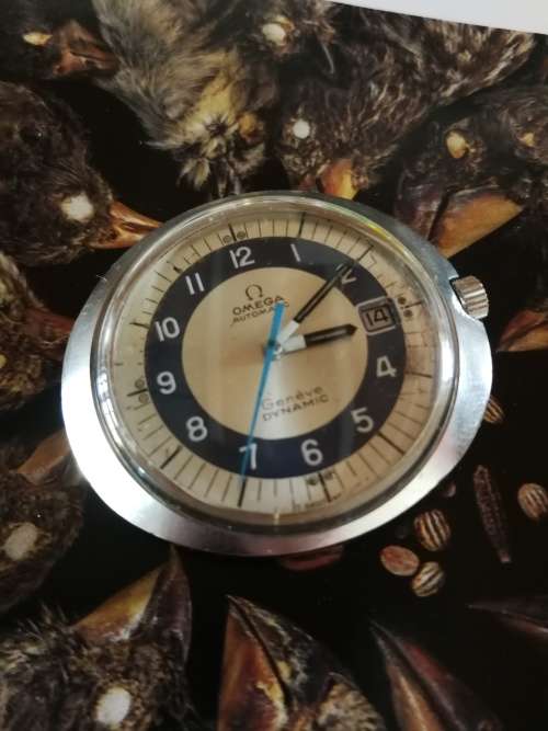 Omega Dynamic (For San Benito)