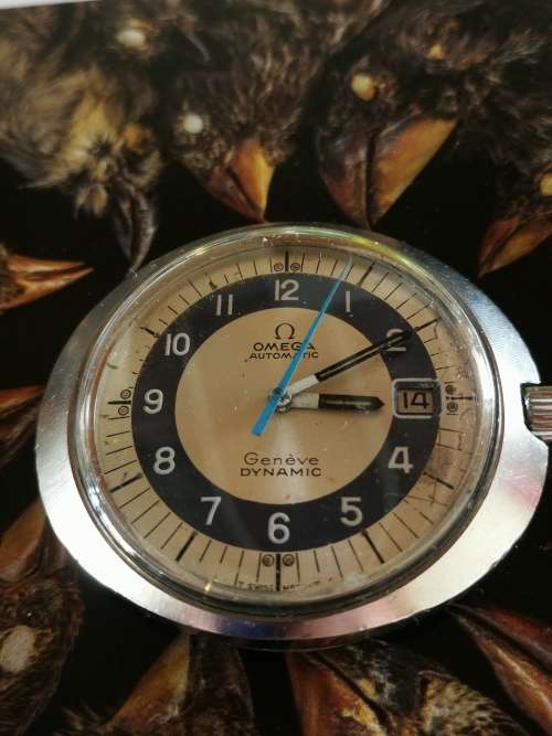 Omega Dynamic (For San Benito)