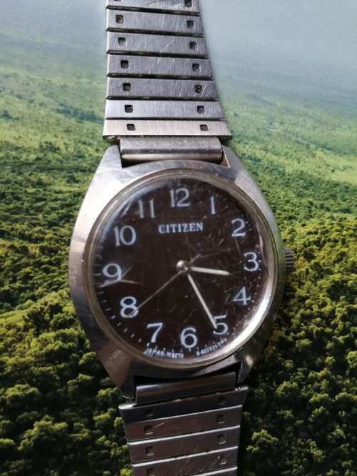 Citizen Manual Watch