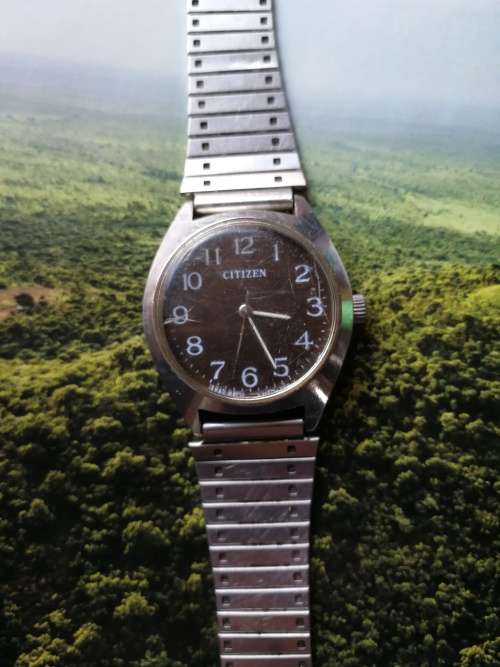 Citizen Manual Watch