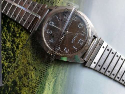 Citizen Manual Watch