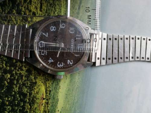 Citizen Manual Watch