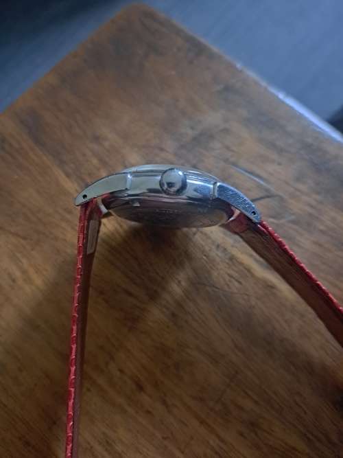 Eterna Automatic Bumper