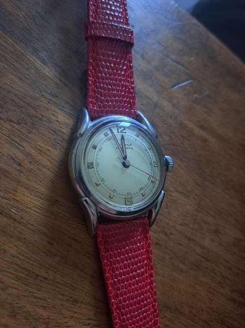 Eterna Automatic Bumper