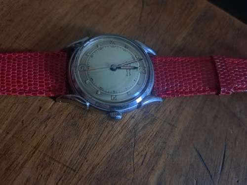 Eterna Automatic Bumper