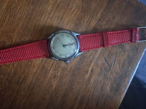 Eterna Automatic Bumper