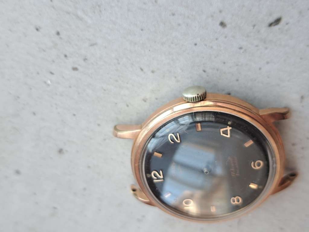 Broken Rotary Watch (R1 Auction)
