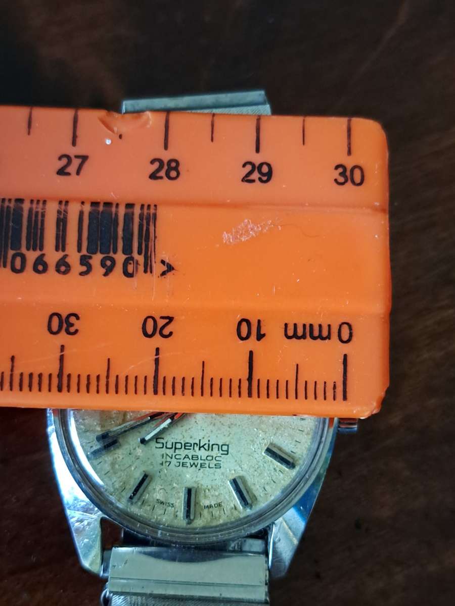 Vintage Roamer Watch