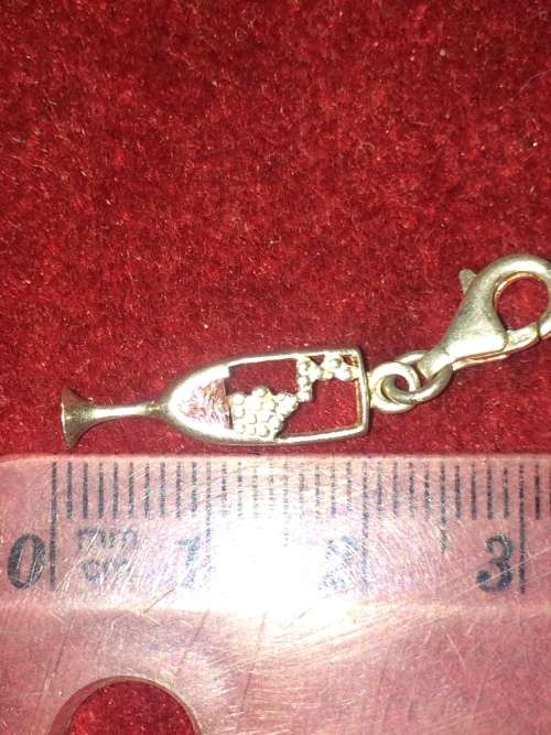 CRAZY R1!!!! Champagne charm