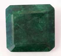 41.970ct Stunning Natural EMERALD - 20 x 20 x 10mm * Certificate Included *