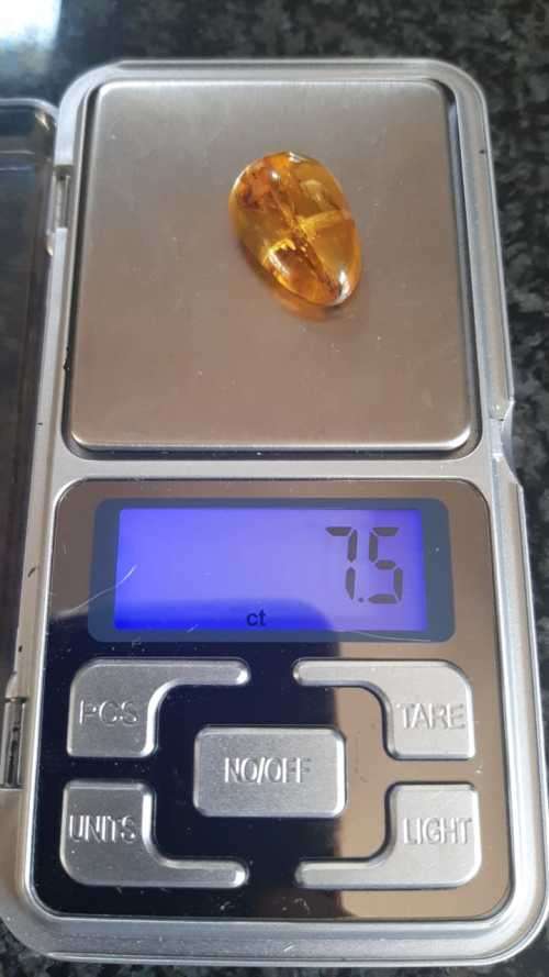 POLISHED AMBER 7.5ct WITH INCLUDION. NICE