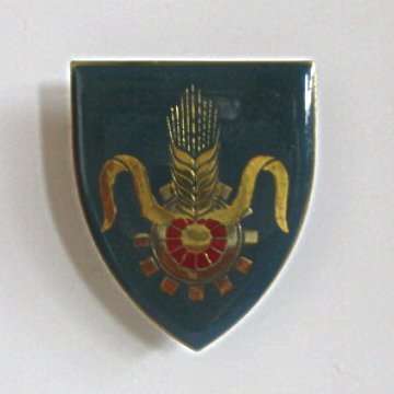 S.A.D.F. QUARTERMASTER GENERAL METAL SHOULDER FLASH WITH THREE PINS.