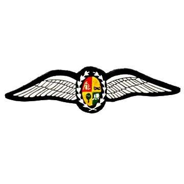 S.A.A.F - RUBBERIZED PILOT WINGS WITH PINS - FULL SIZE.