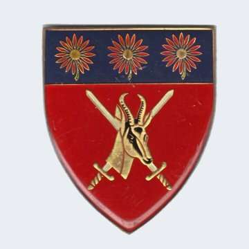 S.A.D.F - NORTHEN TRANSVAAL COMMANDO METAL SHOULDER FLASH WITH PINS.