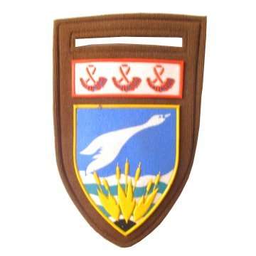 S.A.D.F - EAST GRIQUALAND COMMANDO RUBBERIZED SHOULDER FLASH WITH PIN.