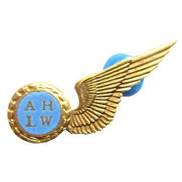 S.A.A.F - AIR HOSTESS -  MESS DRESS HALF WING - ALL PINS.