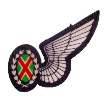SOUTH AFRICAN AIR FORCE COMMANDO OBSERVER HALF WING - PRINTED.