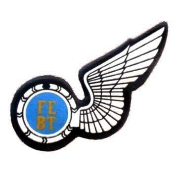 S.A.A.F - FLIGHT ENGINEER RUBBERIZED WING WITH PINS.