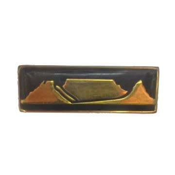 S.A.D.F WESTERN PROVINCE COMMAND, COMMAND BAR WITH PINS.