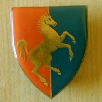 Technical Service Corps Metal Shoulder Flash Wit Pins in Place