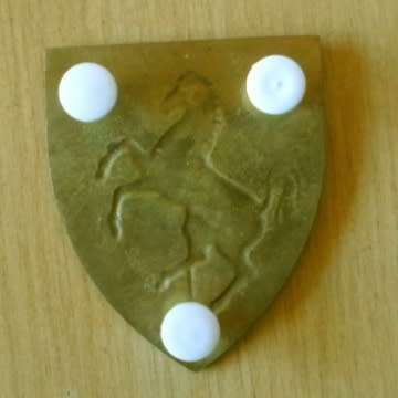 Technical Service Corps Metal Shoulder Flash Wit Pins in Place