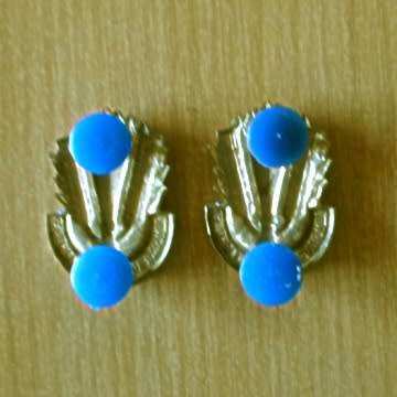 S.A.D.F Catering Corps Collar Badges With Pins In Place