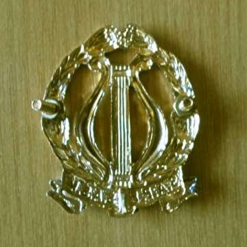 S.A Permanent Force Band Cap Badge With Screws In Place.