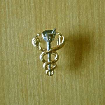S.A Medical Services Pharmacist`s Breast Badge With Pins In Place