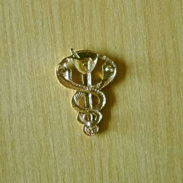 S.A Medical Services Pharmacist`s Breast Badge With Pins In Place