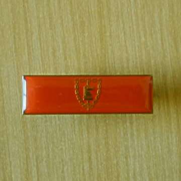 Army Battle School Command Bar With Pins In Place