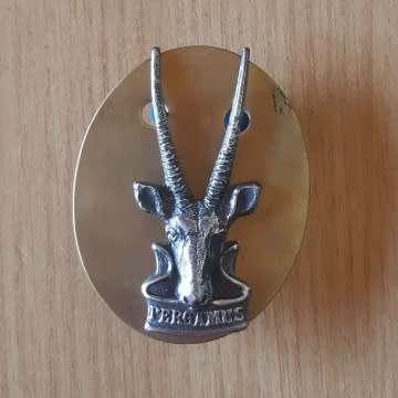 S.W.A.T.F. Head Quarters Oxidised Silver Cap Badge - Large Bokkop.