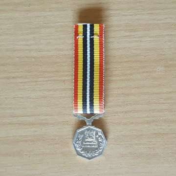 Southern Africa Medal - Miniature