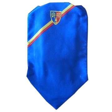 S.A.D.F - 101 Workshop Cravat