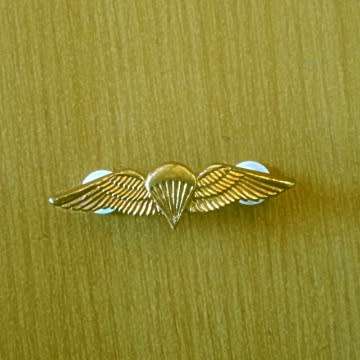 S.A Parachute Basic Wing - Mess Dress With Pins In Place