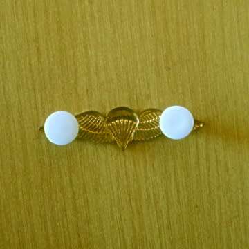 S.A Parachute Basic Wing - Mess Dress With Pins In Place