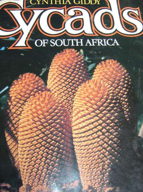 CYCADS of SOUTH AFRICA  by Cynthia Giddy
