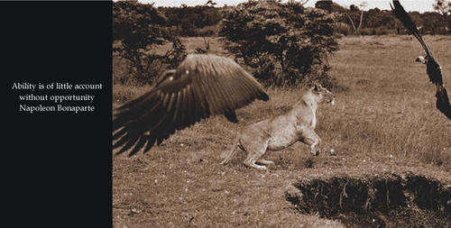 My Book. Brian Joffe