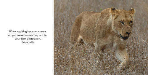 My Book. Brian Joffe