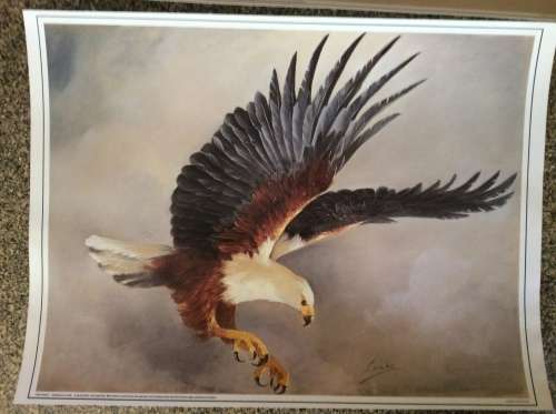 Lisinka Posemann ¿Eagles¿ set of 6 prints