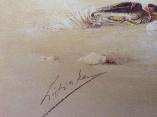 Lisinka Posemann ¿Eagles¿ set of 6 prints